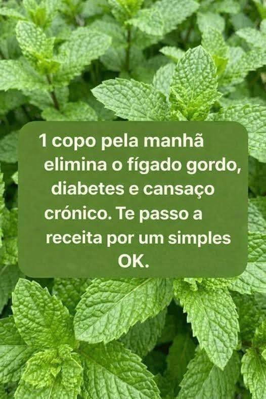 Chá Natural Refrescante de Hortelã
