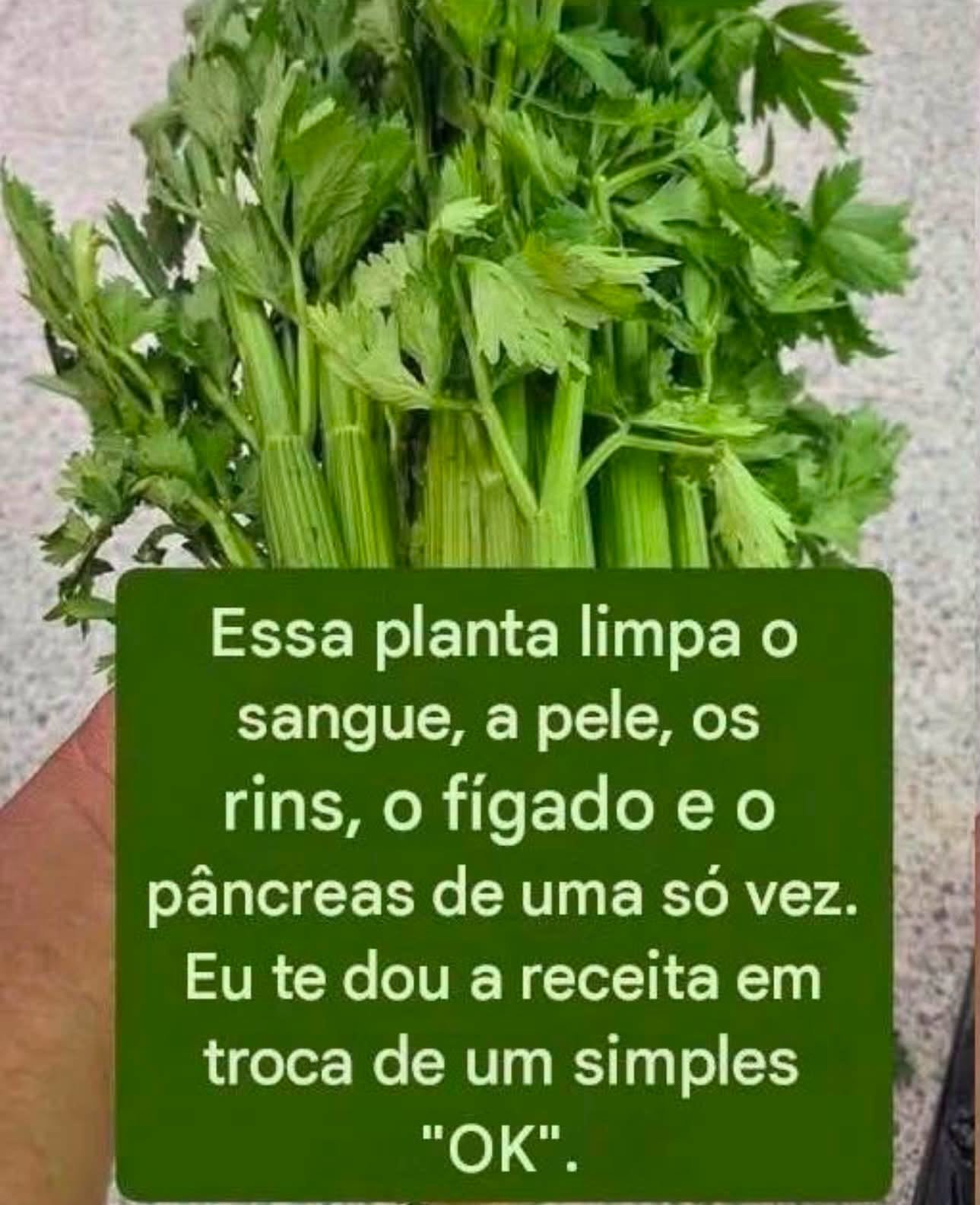 Suco Detox de Aipo